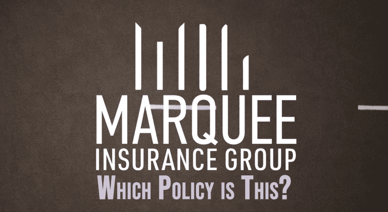 Which Policy Is This?